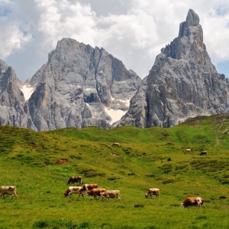 La Gazzetta di Parma dedica una pagina al premio “Scala dei Turchi” conferito a Giovanna Strano